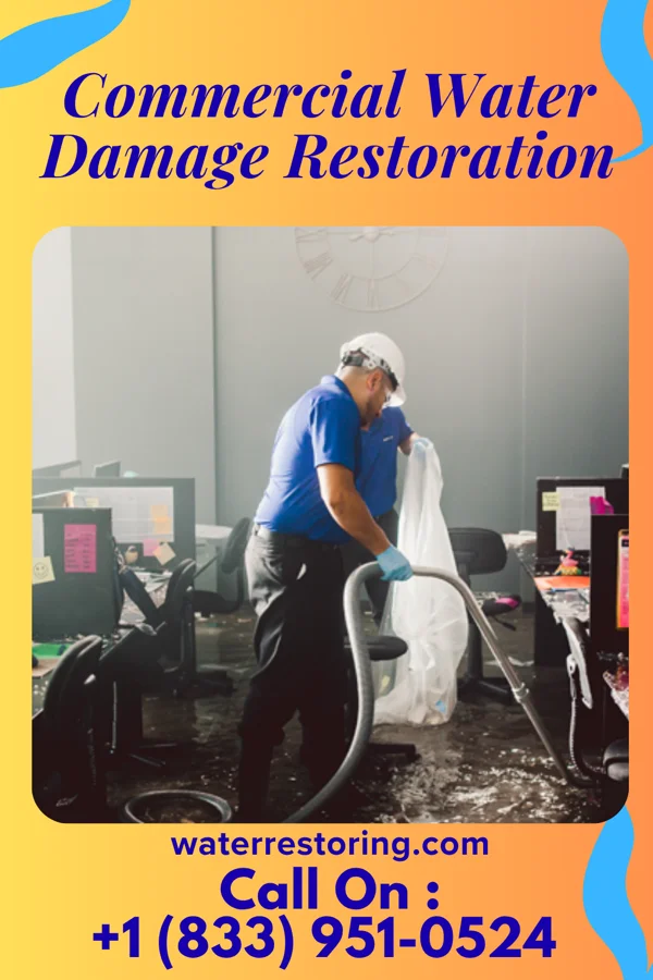 Commercial Water Damage Restoration in Coral Hills, MD