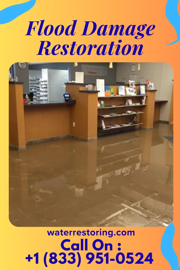 Flood Damage Restoration in Coral Hills, MD