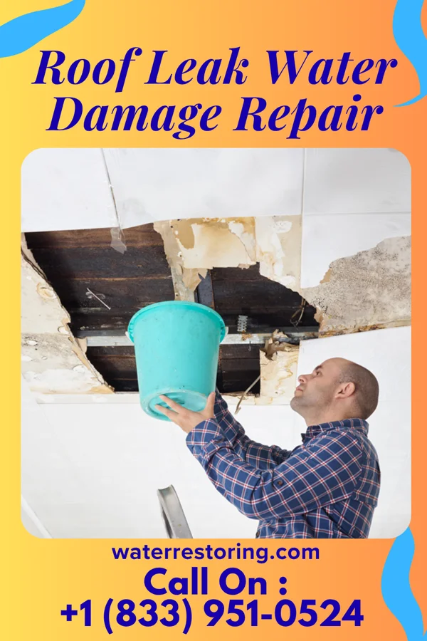 Roof Leak Water Damage Repair in Coral Hills, MD